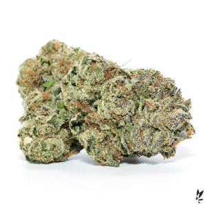 Flower GELATO 33 1G