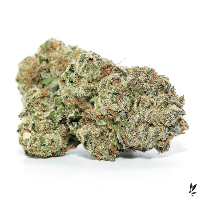 Flower GELATO 33 1G