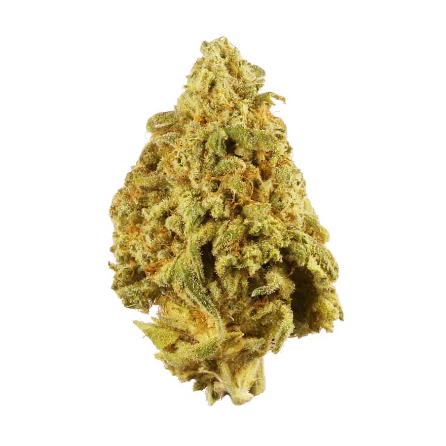 Flower 9LB HAMMER 1G