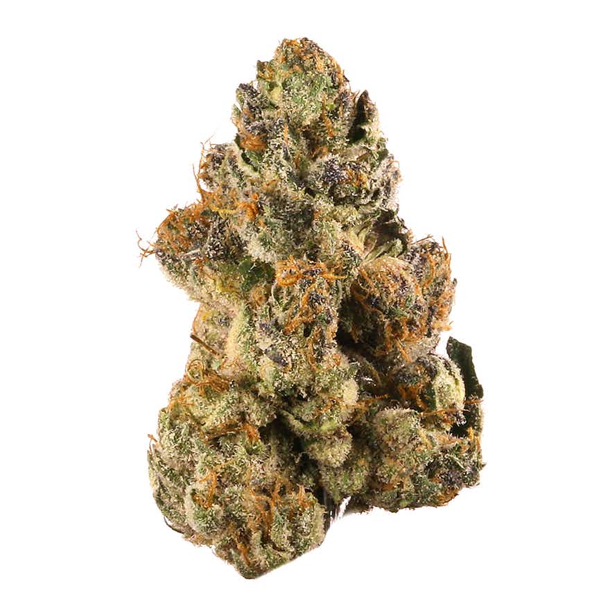 Flower GELATO 1G
