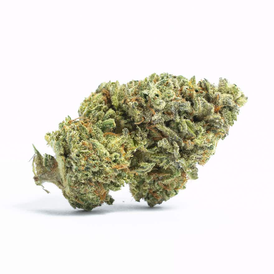 Flower BLUE BERRY 1G