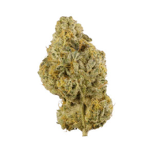 Flower MANGO 1G