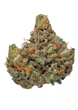 Flower MASTER KUSH 1G