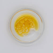 Concentrates EXTRACTS GMO, 1 g